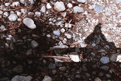 High angle view of stones on rock