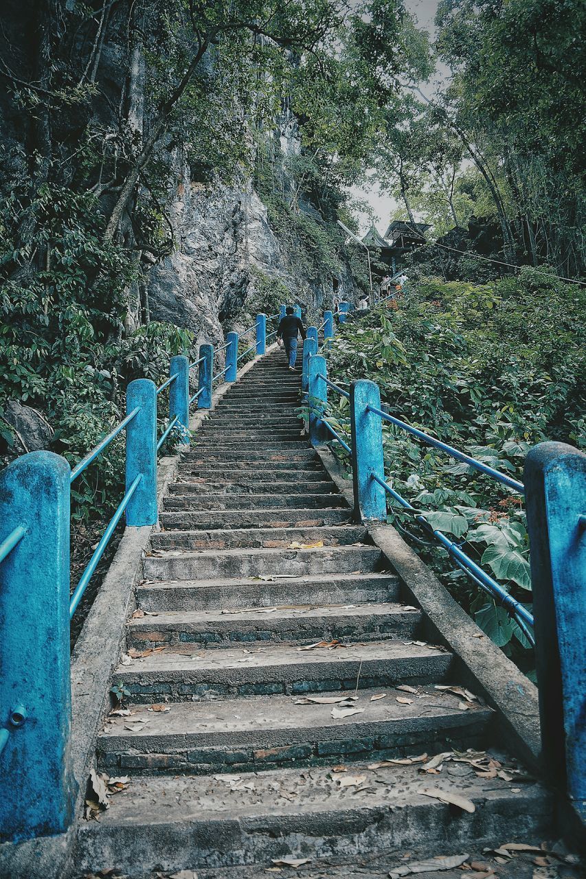 VIEW OF STAIRCASE LEADING TOWARDS FOREST