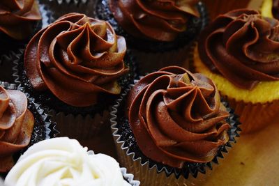 High angle view of cupcakes