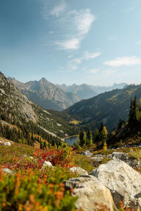 High mountain altitude trees off trail with alpine lake below in north cascades national park