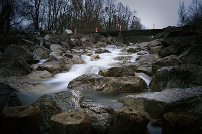 Scenic view of waterfall in forest