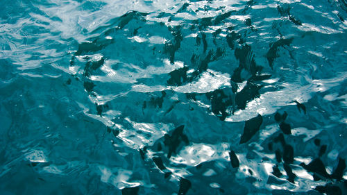 Full frame shot of frozen sea