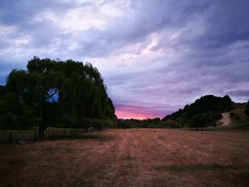 Scenic view of field against sky during sunset