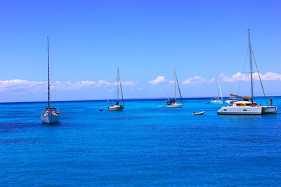 Sailboats sailing in sea against blue sky