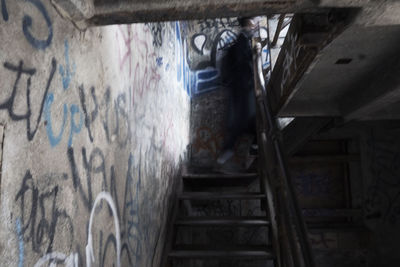 Low angle view of tree against sky