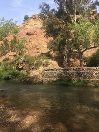 Scenic view of river by trees against sky