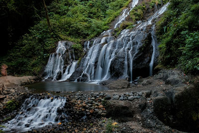 Scenic view of waterfall in forest