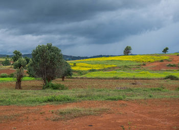 Scenic view of agricultural field against dramatic sky