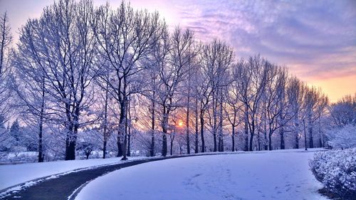 Scenic view of snow covered landscape