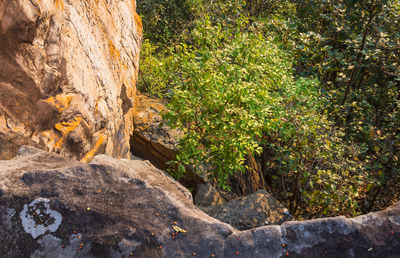 View of rock formation amidst trees in forest