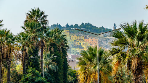 Panoramic view of palm trees and buildings against sky