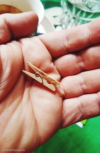 Close-up of hand holding leaf