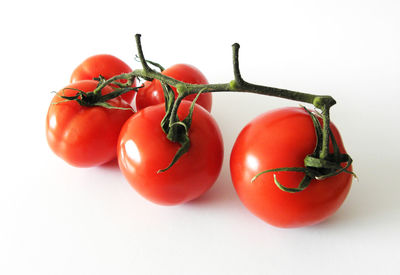 Close-up of tomatoes against white background