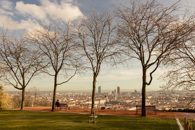 View of trees in park against cityscape