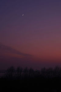 Silhouette trees against sky at night