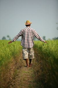 Full length rear view of man walking in farm