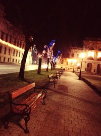 Illuminated trees at night