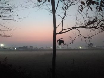 View of a field at sunset