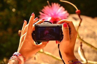 Cropped hands of woman photographing flower blooming outdoors