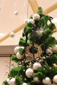 Close-up of christmas tree on table