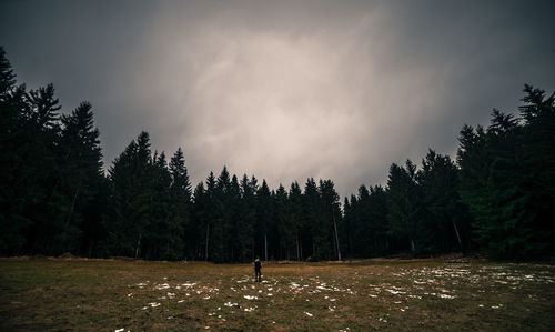 Man standing by trees in forest against sky