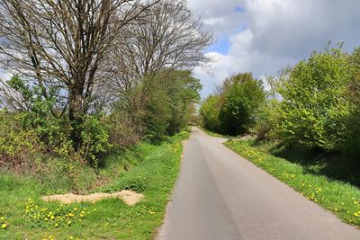 Road amidst trees against sky