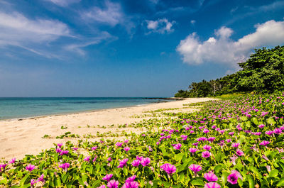 Scenic view of sea against cloudy sky