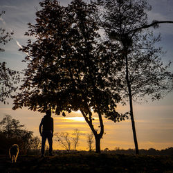 Silhouette man standing by tree against sky during sunset