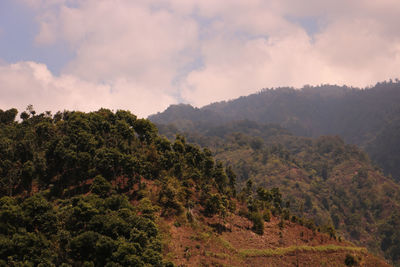 Scenic view of trees and mountains against sky