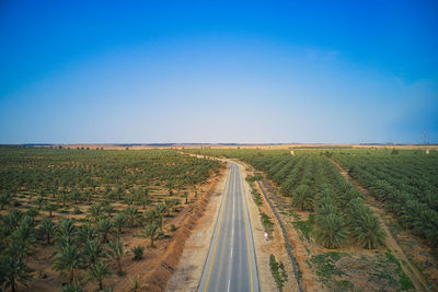 Road amidst field against clear sky