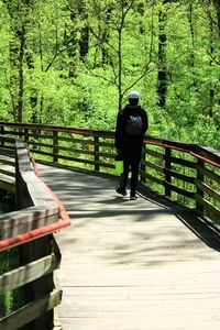 Rear view of people walking on footbridge