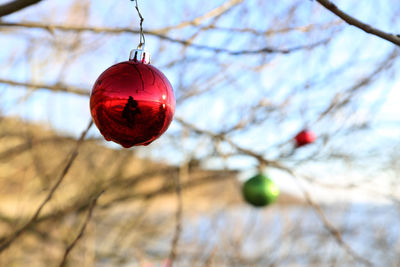 Close-up of christmas decoration hanging on tree