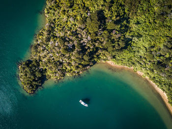 Aerial view of sea