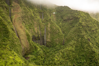 Scenic view of landscape