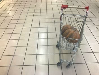 High angle view of horse in cage