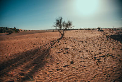 Scenic view of desert against sky