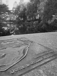 Close-up of snow on tree