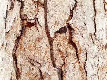 Full frame shot of textured surface