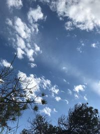 Low angle view of silhouette trees against sky