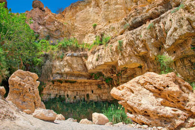 View of rocks and plants in park