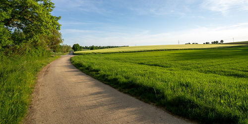 Dirt road amidst field against sky