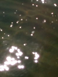 Defocused image of illuminated lights at night