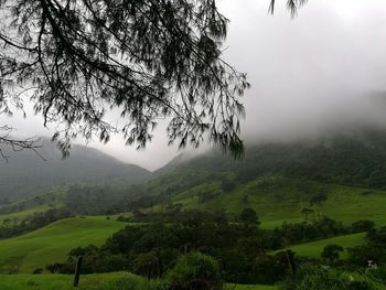 Scenic view of landscape against sky during foggy weather