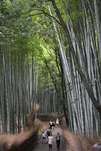 People walking on road