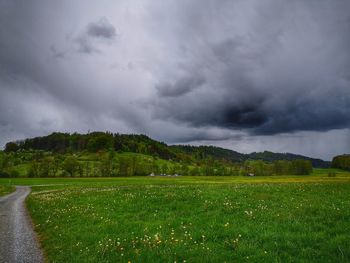 Scenic view of field against sky