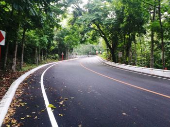 Road amidst trees