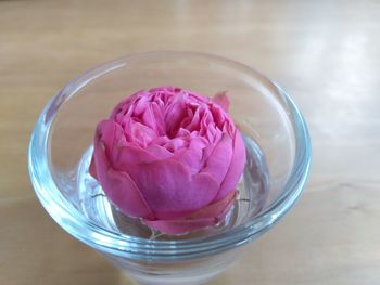Close-up of pink flower in glass bowl on table