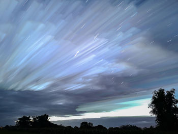 Low angle view of silhouette trees against sky at night