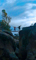 Men on rock by tree against sky