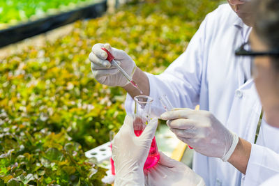 Midsection of scientist performing experiment outdoors